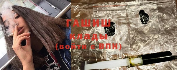 тгк Елизово