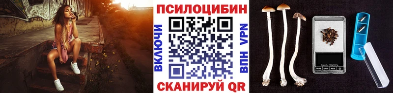 ОМГ ОМГ ТОР  Кораблино  Галлюциногенные грибы Cubensis 